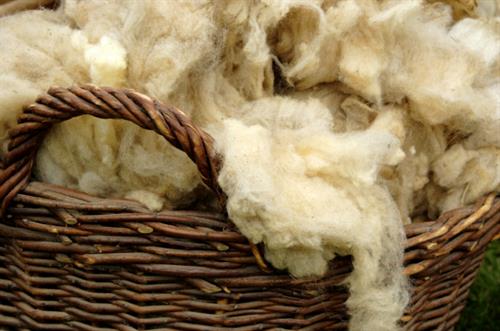 Natural Wool Fibre